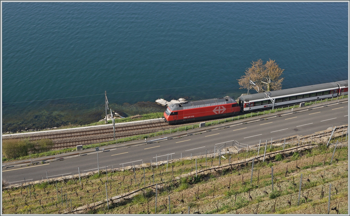 A SBB Re 460 on the crystal coast between St Saphorin and Rivaz. 

19.04.2021