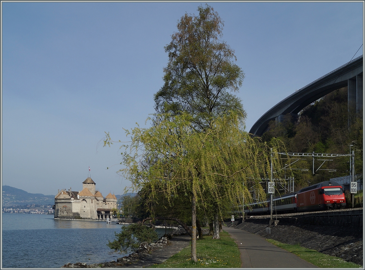 A SBB Re 460 with an IR to Brig by the Castle of Chillon.
07.04.2014