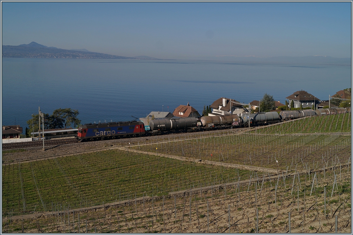 A SBB Re 6/6 with a Cargo Train near Cully on the way to St-Saphorin. 

20.04.2018