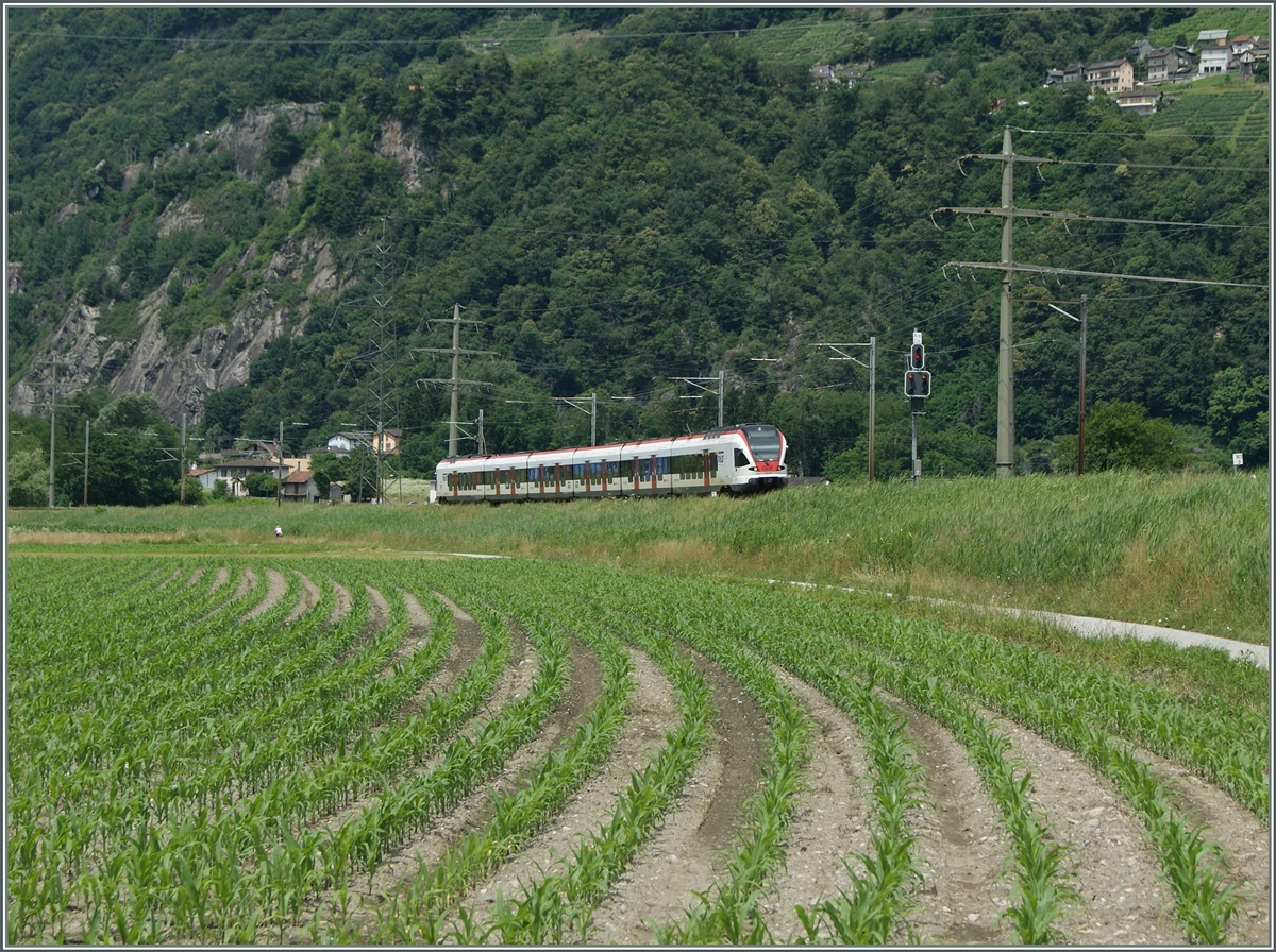 A SBB TILO on the way to Bellinzona near Riazzino.
21.05.2015