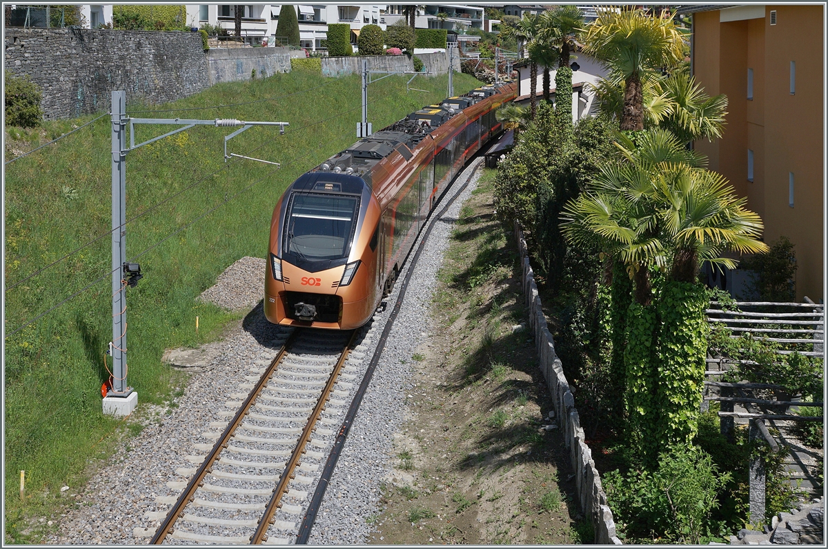 Always fascinating, trains under palm trees! Here the SOB  Traverso  RABe 526 222 as Treno Gottard near Minuso shortly before its destination Locarno.
April 26, 2023