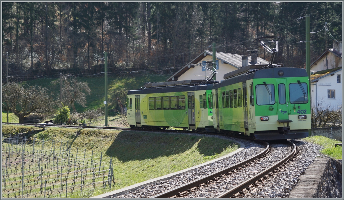 An ASD local train on the way to Les Daiblerets in the vineyards over Aigle.

30.03.2021