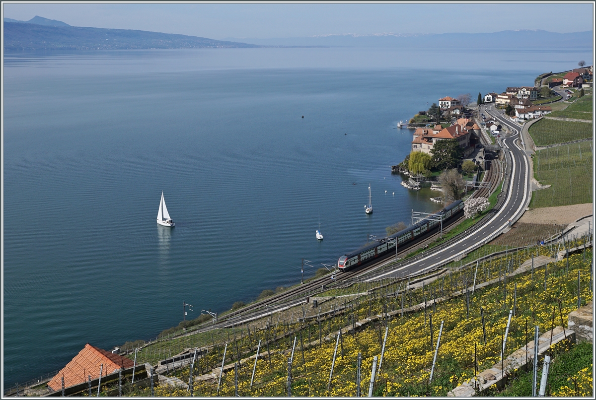 An SBB RABe 511 is traveling as a RE on the shore of Lake Geneva near Rivaz.

April 5, 2021