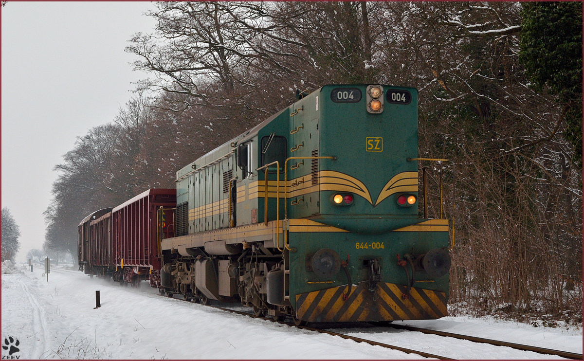 Diesel loc 644-004 is hauling freight train through Maribor-Studenci on the way to Tezno yard. /27.1.2014