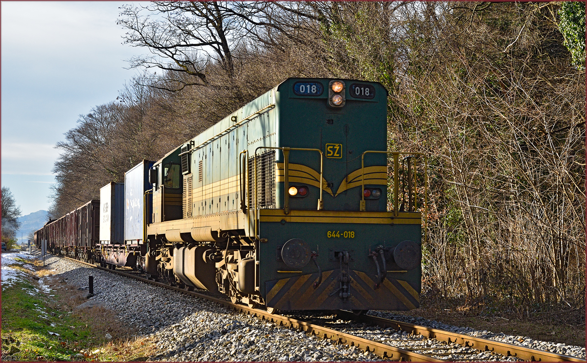 Diesel loc 644-018 pull freight train through Maribor-Studenci on the way to Tezno yard. /13.1.2015