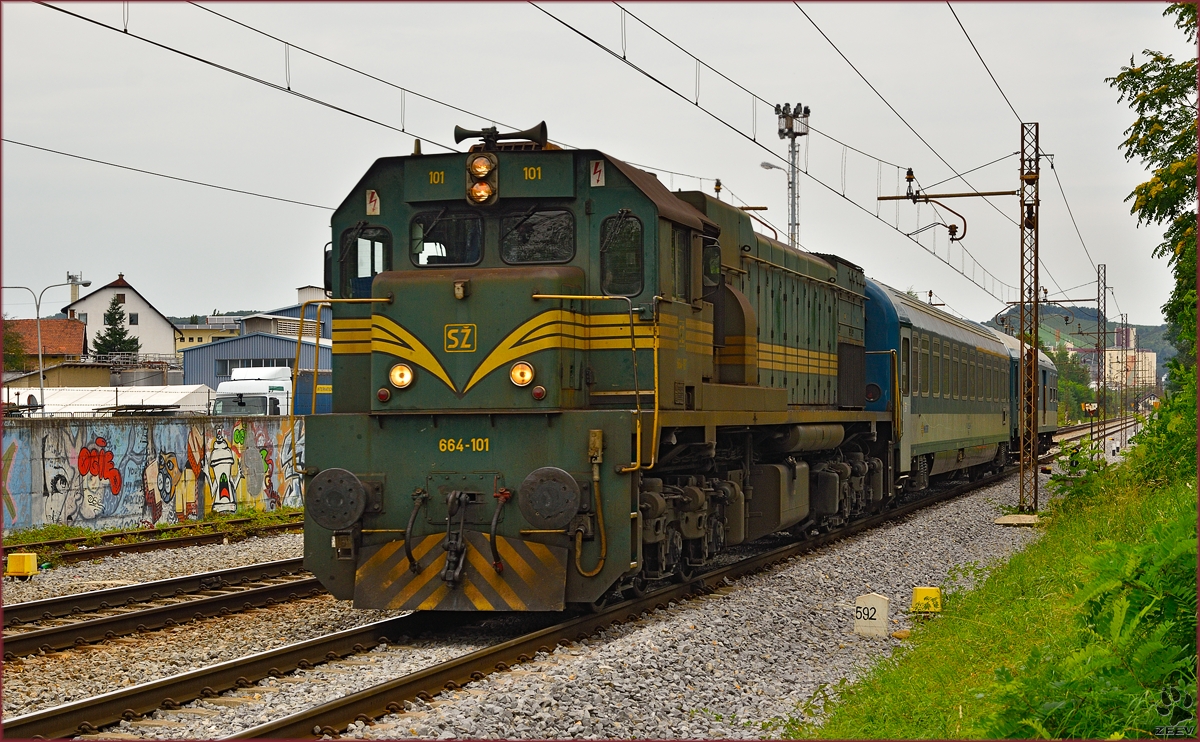 Diesel loc 664-101 pull MV247 'Citadella' through Maribor-Tabor on the way to Budapest. /3.9.2014