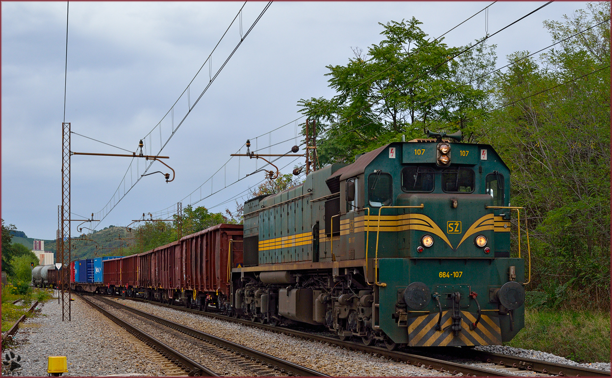 Diesel loc 664-107 pull freight train through Maribor-Tabor on the way to Tezno yard. /18.9.2013