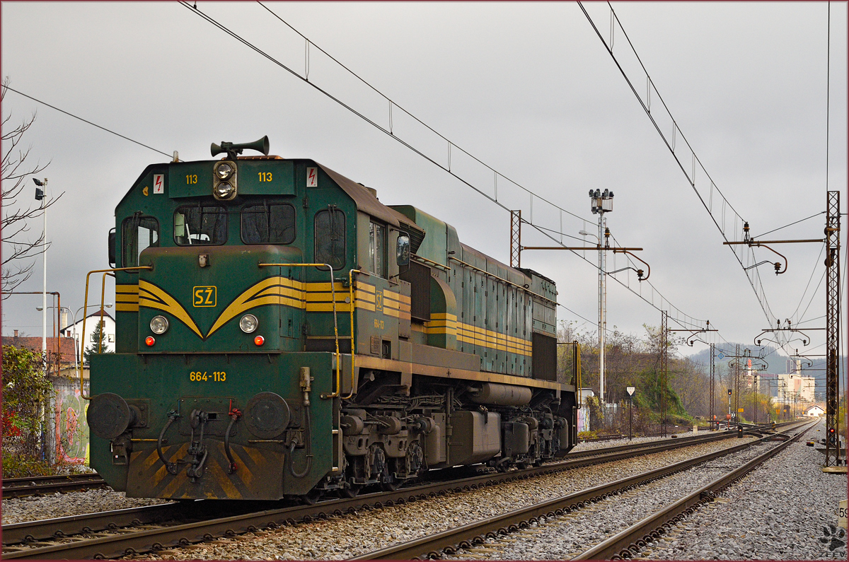 Diesel loc 664-113 run through Maribor-Tabor on the way to Maribor station. /17.11.2014