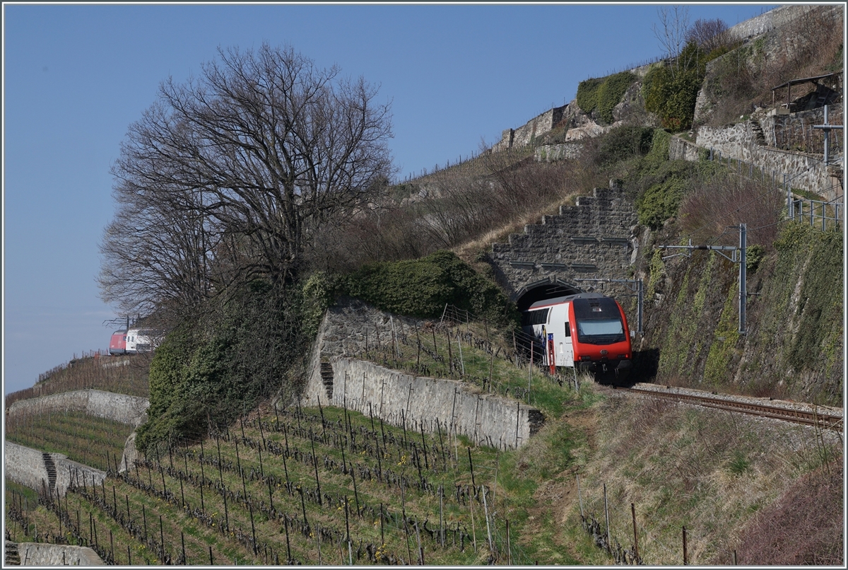 Due to construction work on the Vevey-Lausanne line, trains were rerouted via the  Train des Vignes  line. The picture shows the end and, somewhat distantly, the head of the train of an SBB IR on the journey from Vevey to Lausanne via Palézieux at the 20 meter long Salanfe Tunnel above St-Saphorin.

March 20, 2022