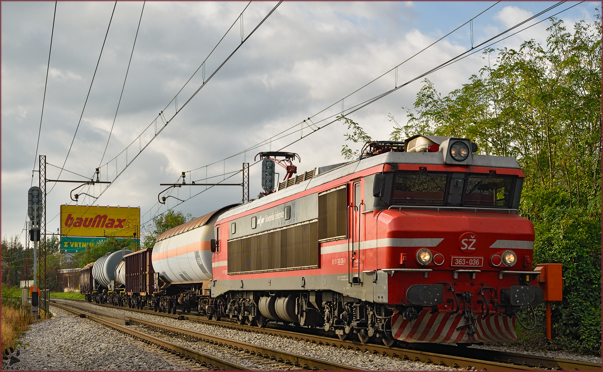 Electric loc 363-036 pull freight train through Maribor-Tabor on the way to the north. /21.10.2014