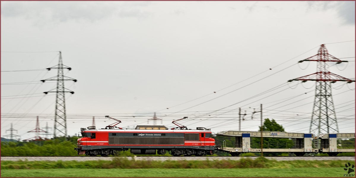 Electric loc 363-037 pull freight train through Bohova on the way to north. /1.5.2015