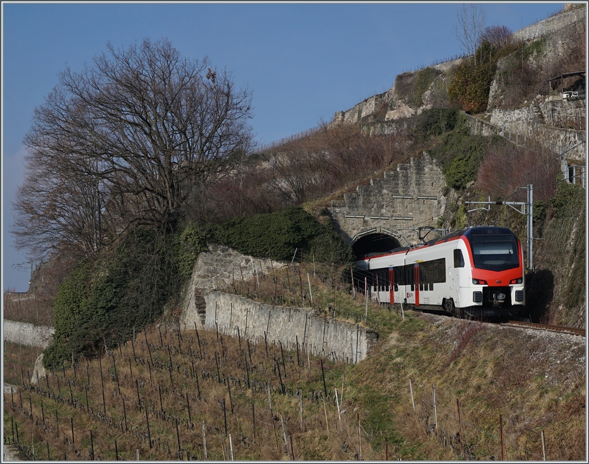  Long-distance traffic  on the Train de Vignes route: the SBB Flirt3 RABe 523 503  Mouette  (RABe 94 85 0 523 503-6 CH-SBB), which was purchased for long-distance traffic, is running as S7 on the Train de Vignes route between Vevey and Puidoux and is currently driving into the Salanfe Tunnel, which is only 20 meters long, above St-Saphorin.

February 11, 2023