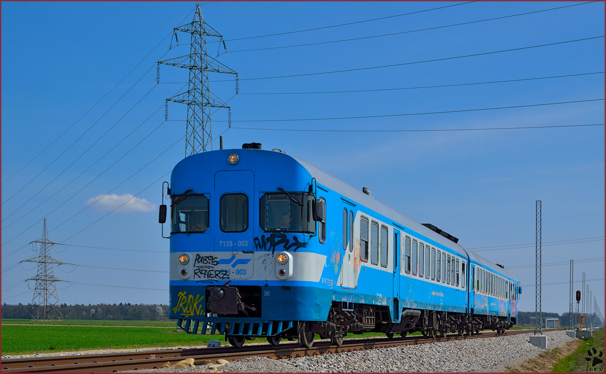 Multiple units 711-003 are running through Cirkovce on the way to Pragersko. /28.3.2014