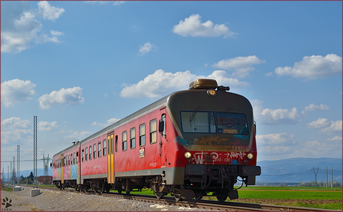 Multiple units 814-120 are running through Cirkovce on the way to Središče. /28.3.2014