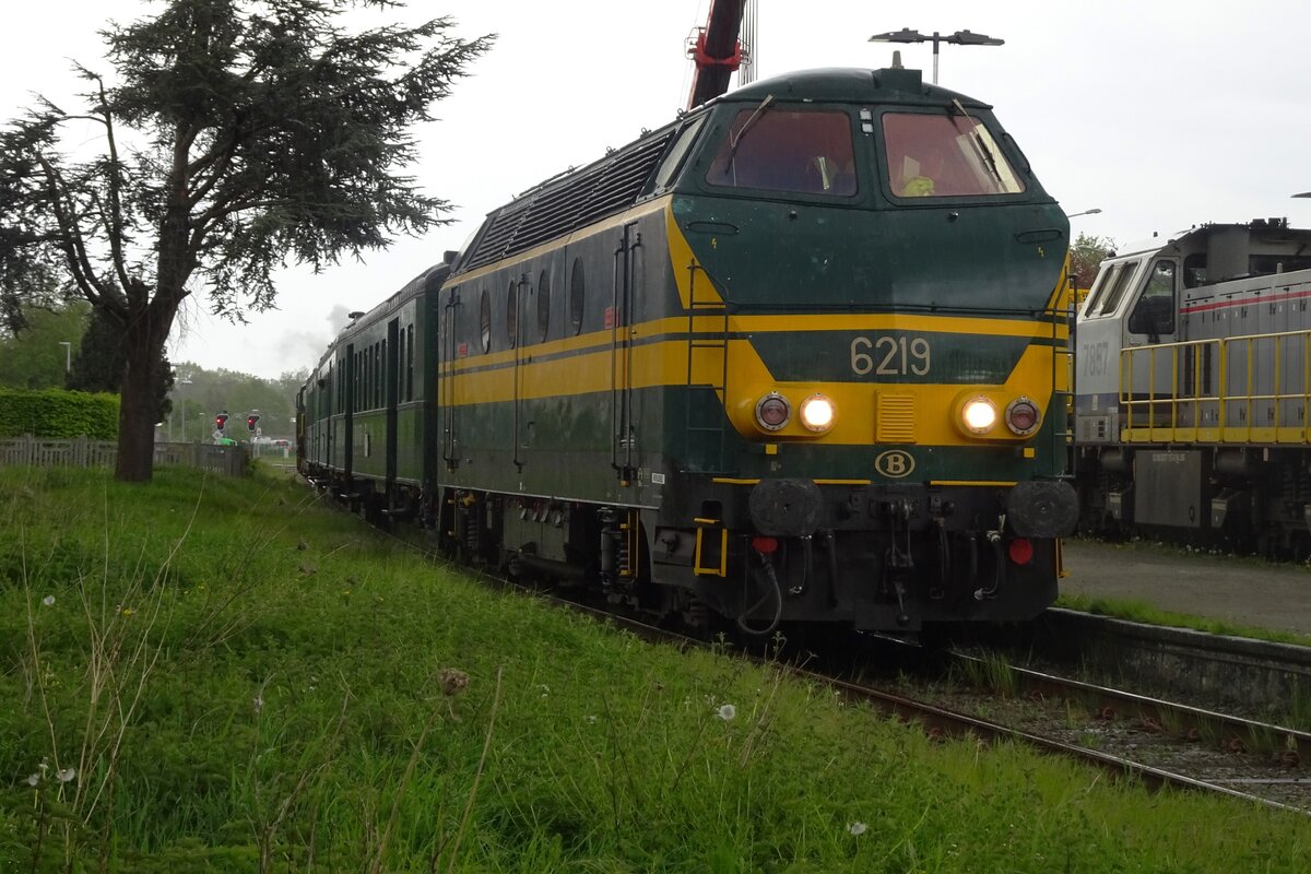 On a damp afternoon of 6 May 2023, SCM's 6219 stands ready for departure at Eeklo for one of the hourly shuttle trains to Maldegem during the SCM's Steam Weekend.