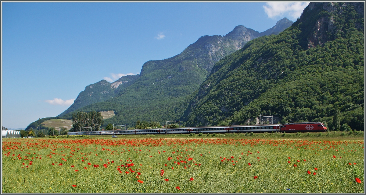 SBB RE 460 with an IR to Brig between Roches VD and Yvorne.
27.05.2015