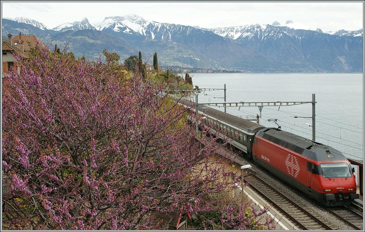 Spring times by St Saphorin: Re 460 wiht an IR to Geneva.
23.04.2012