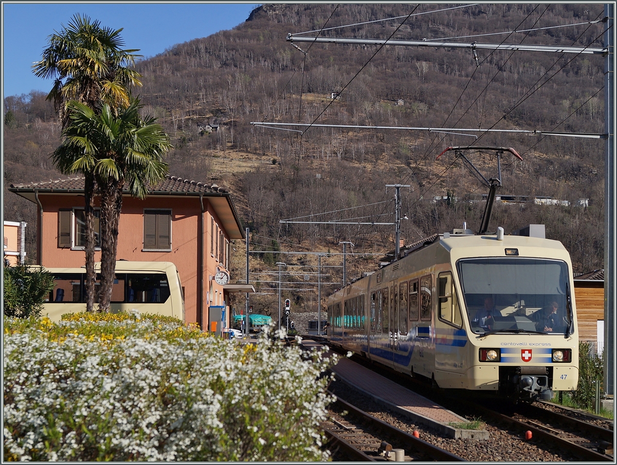 The ABe 4/8  Centovalli-Express  makes a stop in Intagna.
20.03.2014