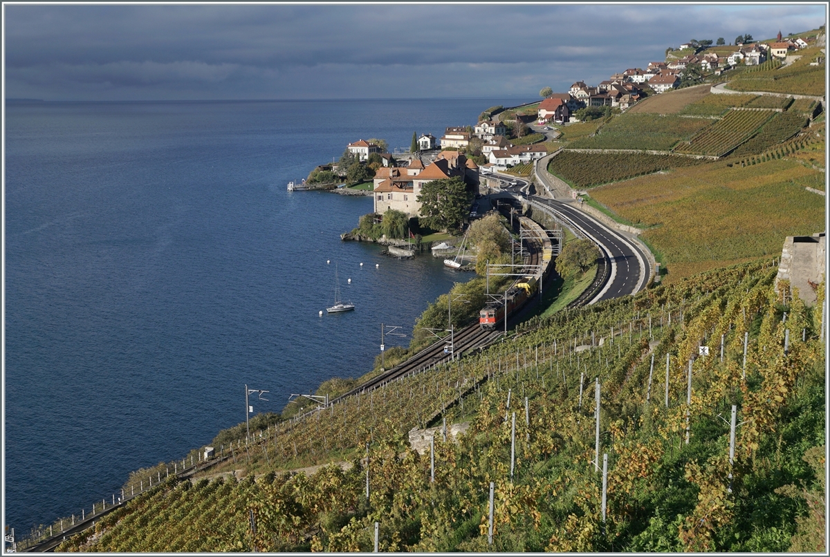 The beautiful Lavaux landscape: A SBB Re 4/4 II wiht a Corg train by Rivaz. 

25.10.2022