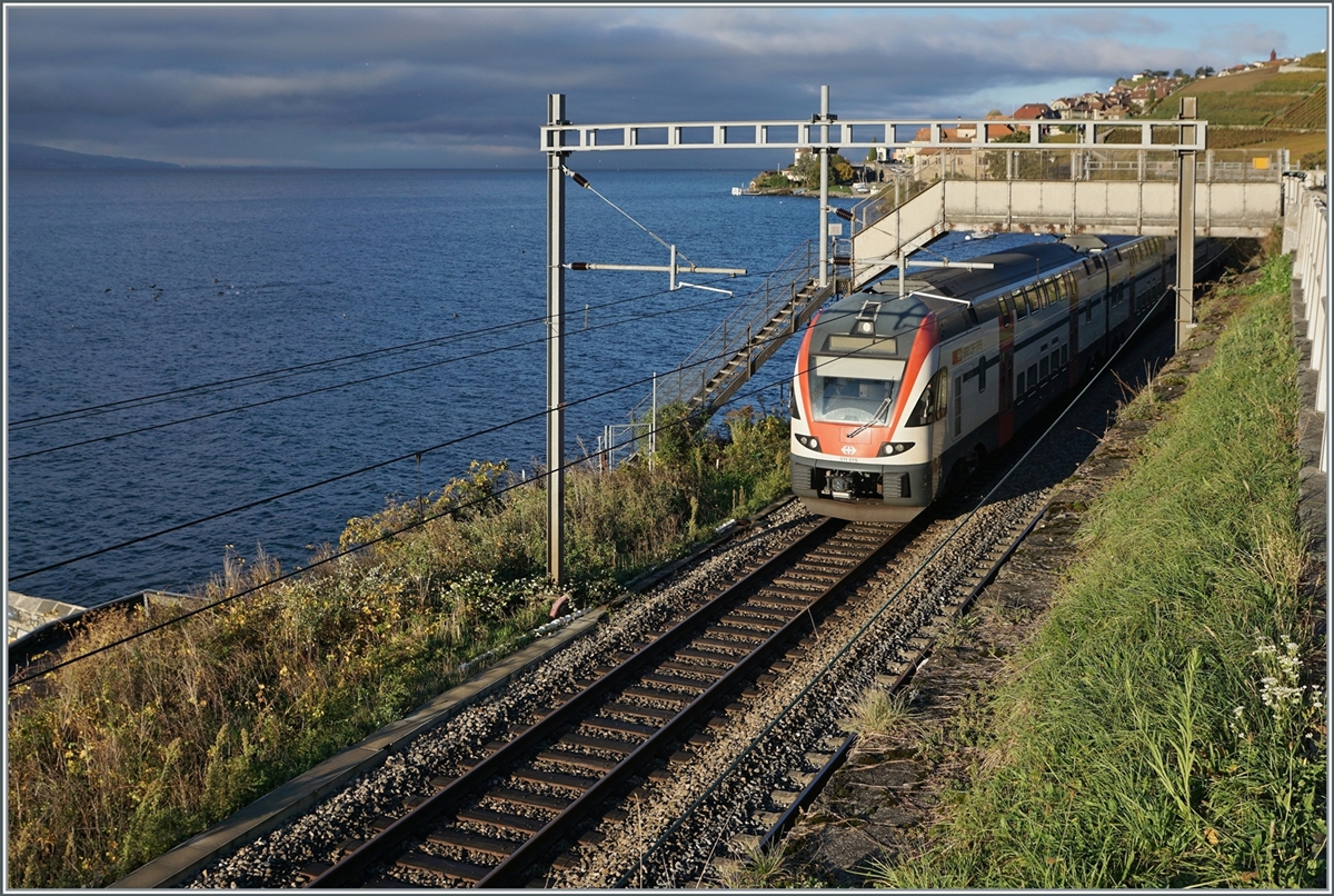 The beautiful Lavaux landscape: by a dark background is running the SBB RABe 511 109 from Vevey to Annemasse. This train was pictured by St Saphorin. 

25.10.2022