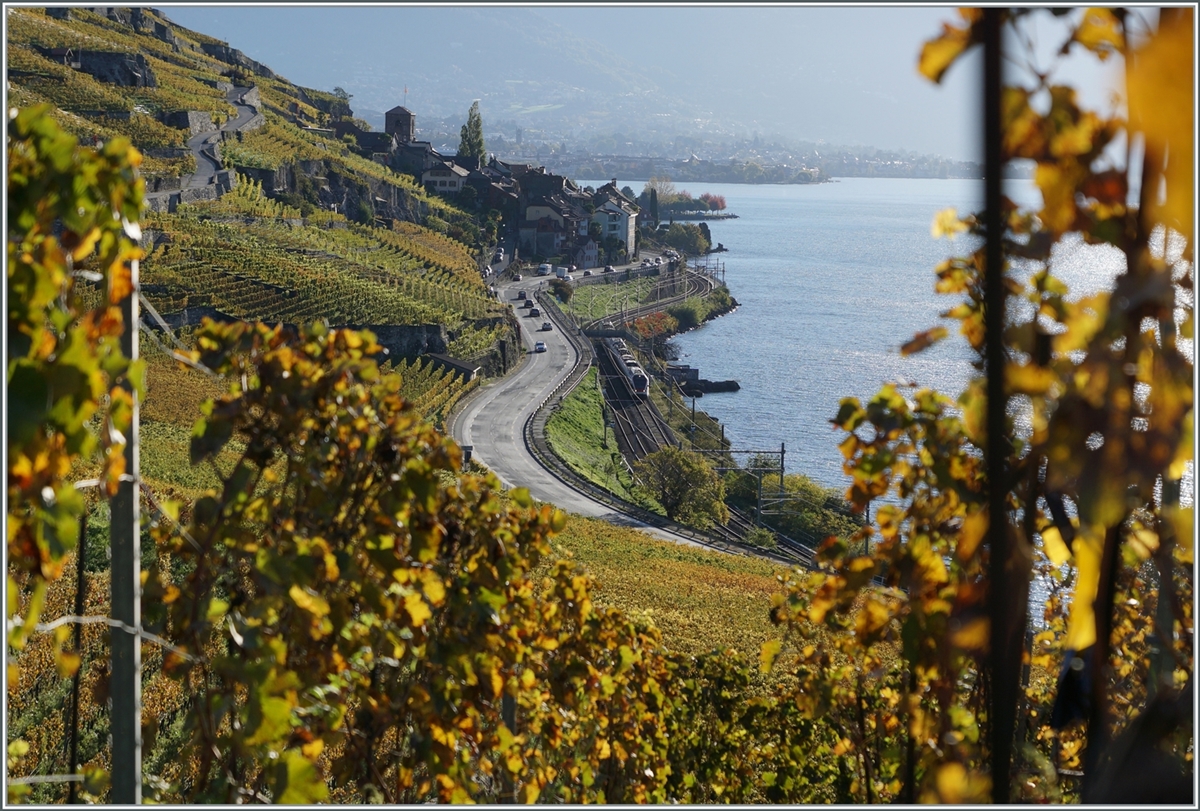 The beautiful Lavaux landscape: Vieuw from the yineyard of two SBB RABe 523 on the way from Aigle to Vallorbe between St Saphorin and Rivaz.

25.10.2022