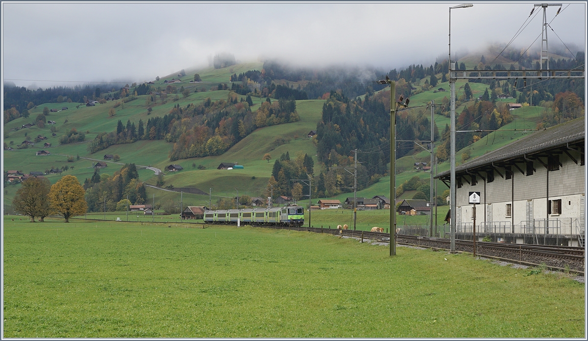 The BLS Re 4/4 II 501 with a RE near Boltigen.

22.10.2019