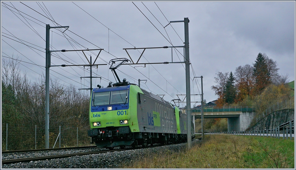 The BLS Re 485 001 and an other one with A RoLa near Muelenen.
09.11.2017