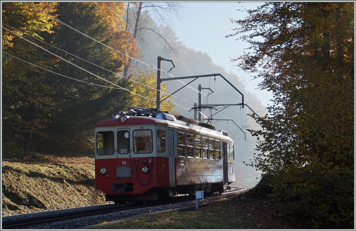 The CEV BDeh 2/4 on the way to Pleiades in the wood over Blonay.
27.10.2015