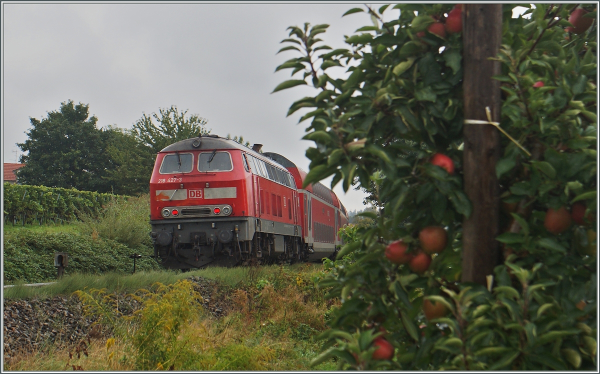 The DB 218 427-3 with a IRE to Lindau by Nonnenhorn.
18.09.2015