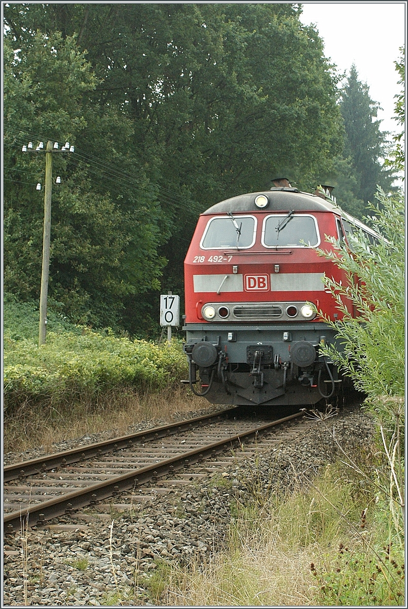 The DB 218 492-7 by Hergtz, Km 17.0.

11.09.2009