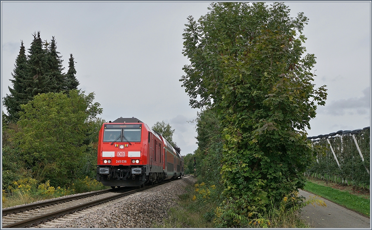 The DB 245 066 with a RE to Lindau by Kressbronn.
22.09.2018