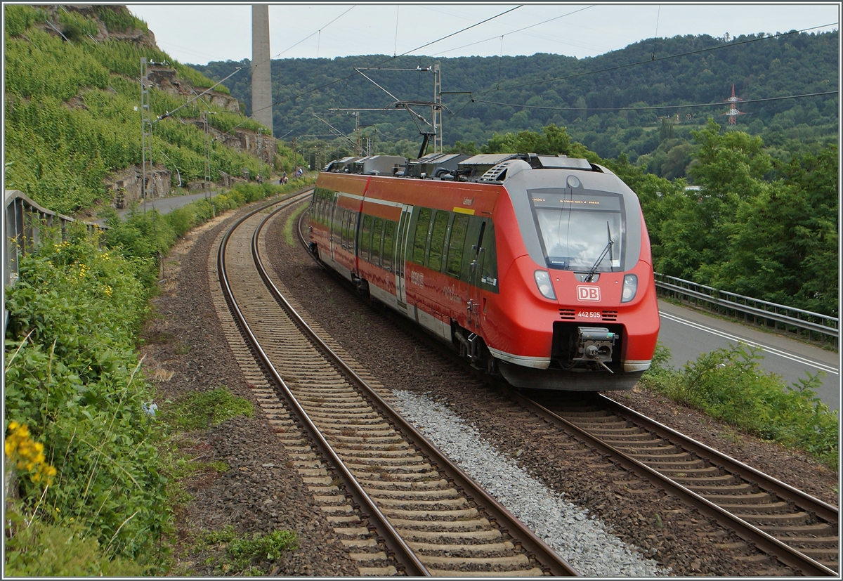 The DB 442-505 near Winningen.
20.06.2014