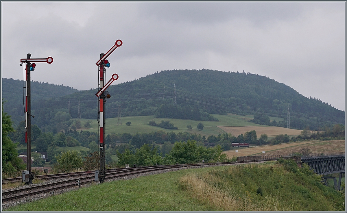 The diesel locomotive 211 041-9 (92 80 1211 041-9 D-NeSA) with its  morning train  will soon reach the  Talübergang Epfenhofen Brücke . At 264 meters long, the bridge is the longest bridge on the Sauschwänzlebahn. August 27, 2022