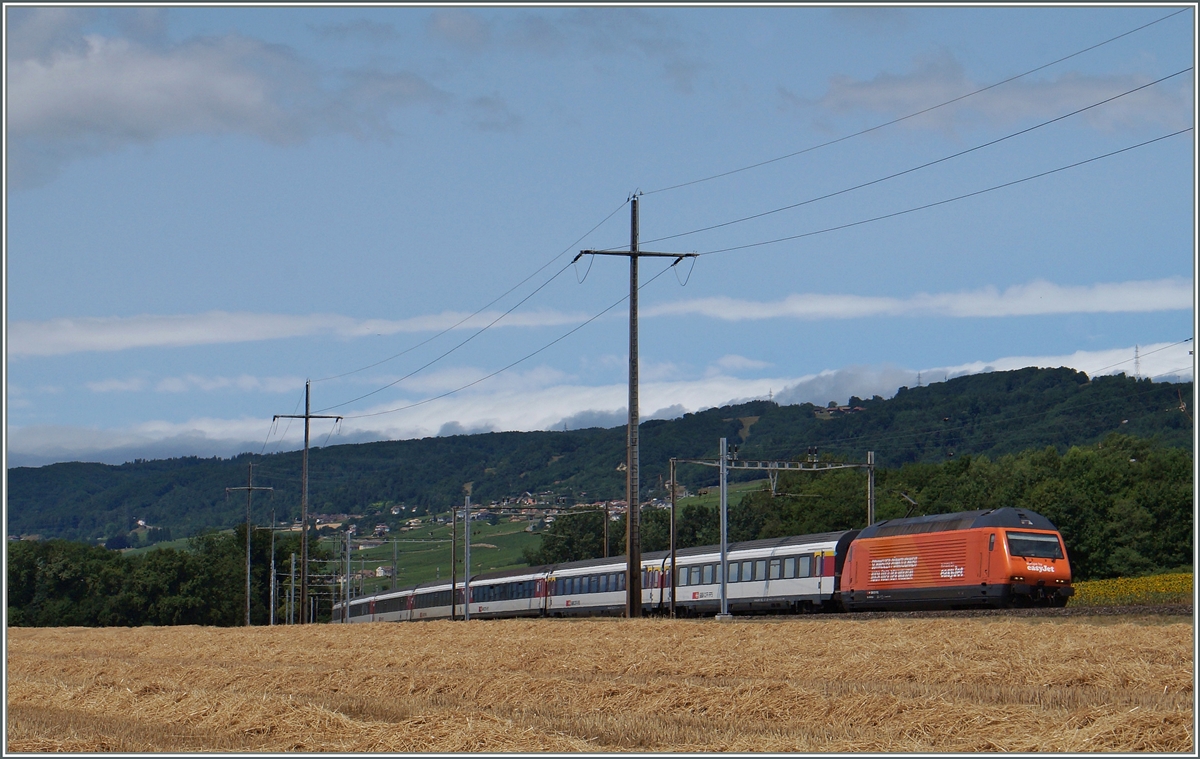 The  easy-jet  SBB Re 460 063-1 with an IR to Brig near Allaman. 08.07.2015