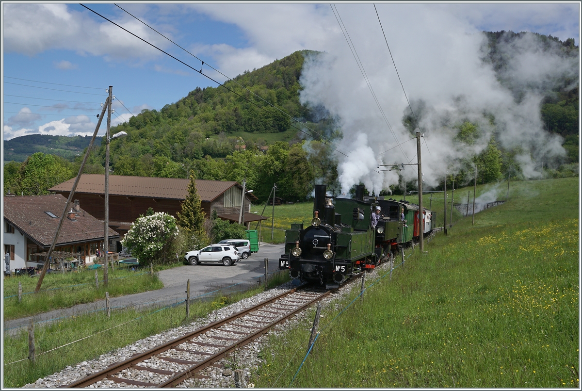 The LEB G 3/3 N° 5 and de the SGE G 2x 2/2 105 by the Blonay Chamby Railway are by Cornaux  on the way to Chamby.

22.05.2021