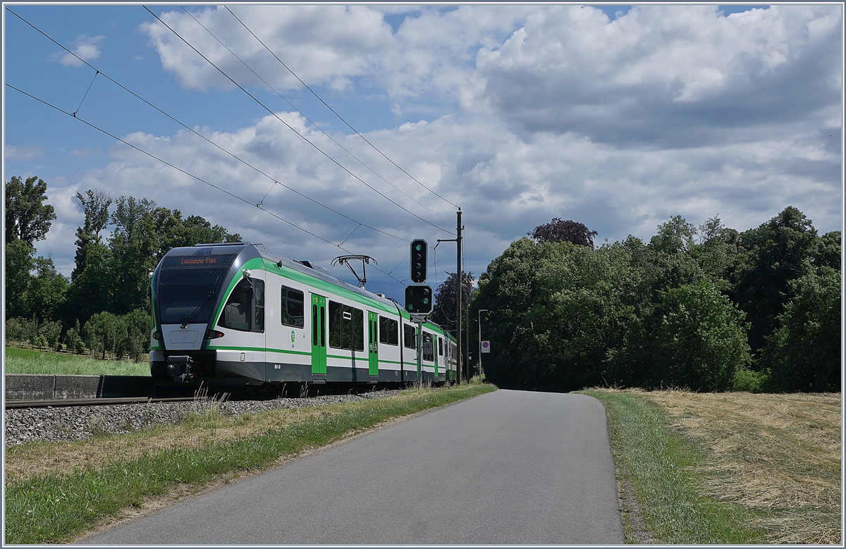 The LEB RBe 4/8 50and Be 4/8 36 by Jouxtens-Mézery on the way to Cheseaux. 

22.06.2020