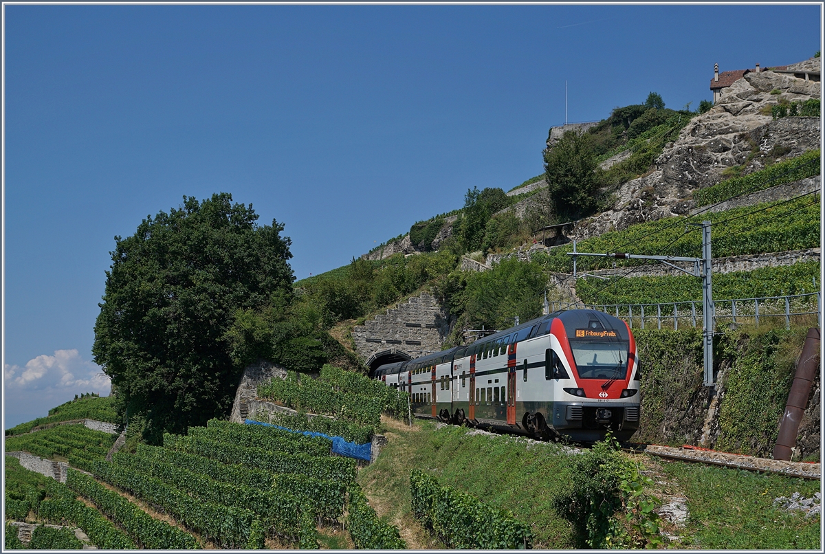 The SBB RABe 511 112 by the 20 meter long Salanfe tunnel between Chexbres Village and Vevey.
19.07.2018e 
