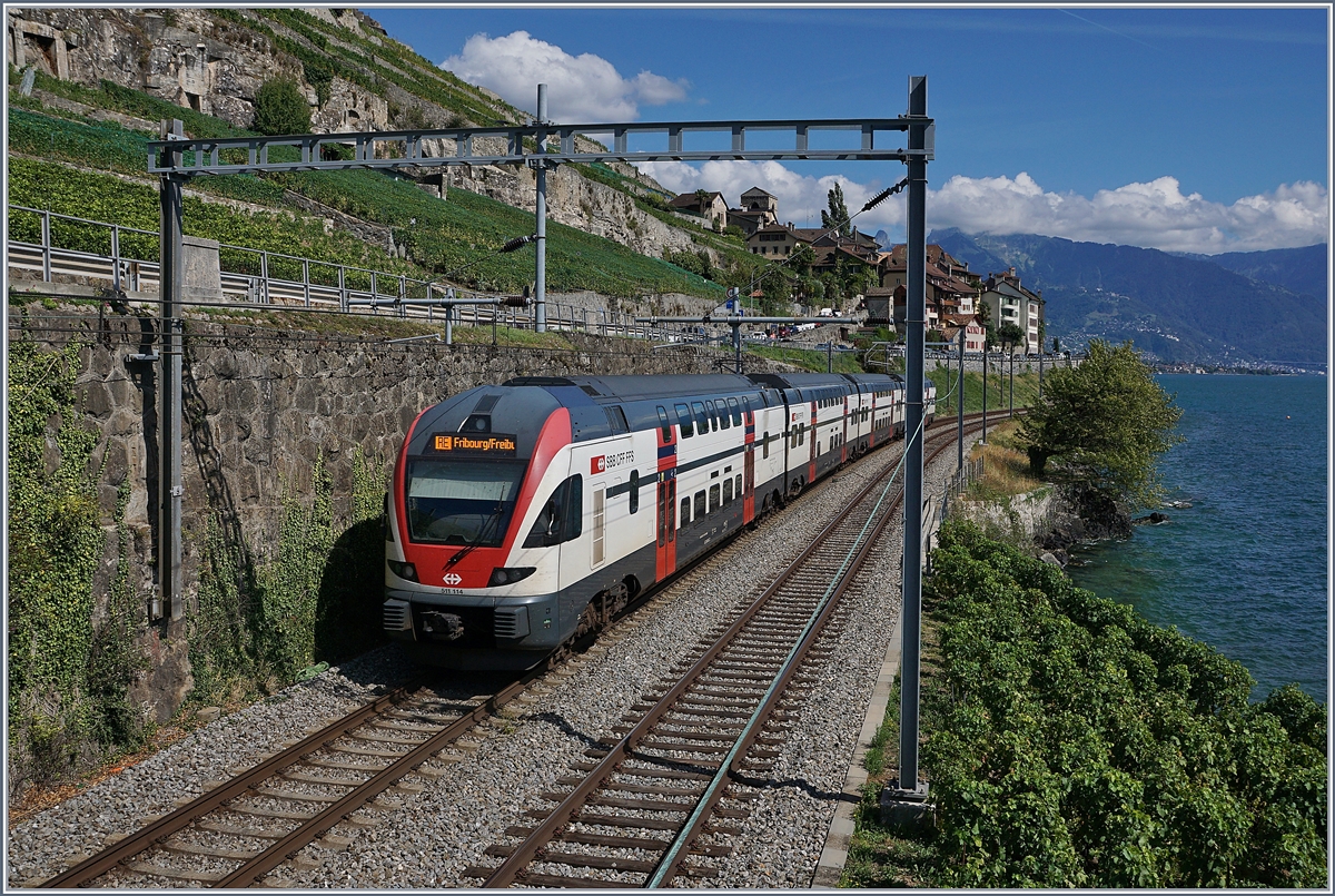 The SBB RABe 511 114 on the way to Fribourg by St Saphorin.
26.08.2018
