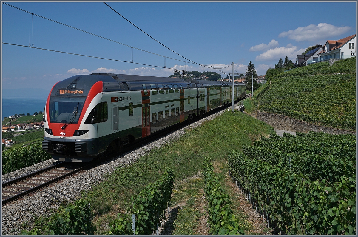 The SBB RABe 511 117 on the way to Fribourg by Chexbres.
10.07.2018