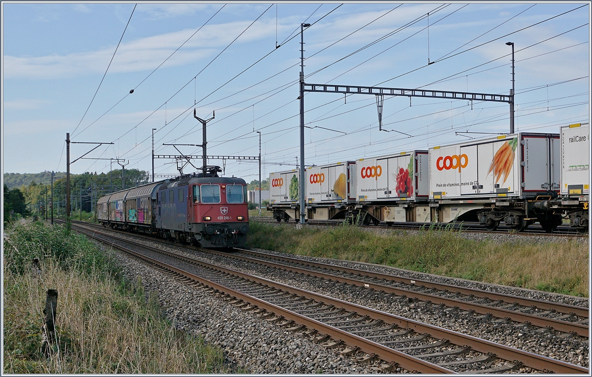 The SBB Re 420 246-1 with a shrt Cargo train in Vuffens la Ville.
29.08.2018