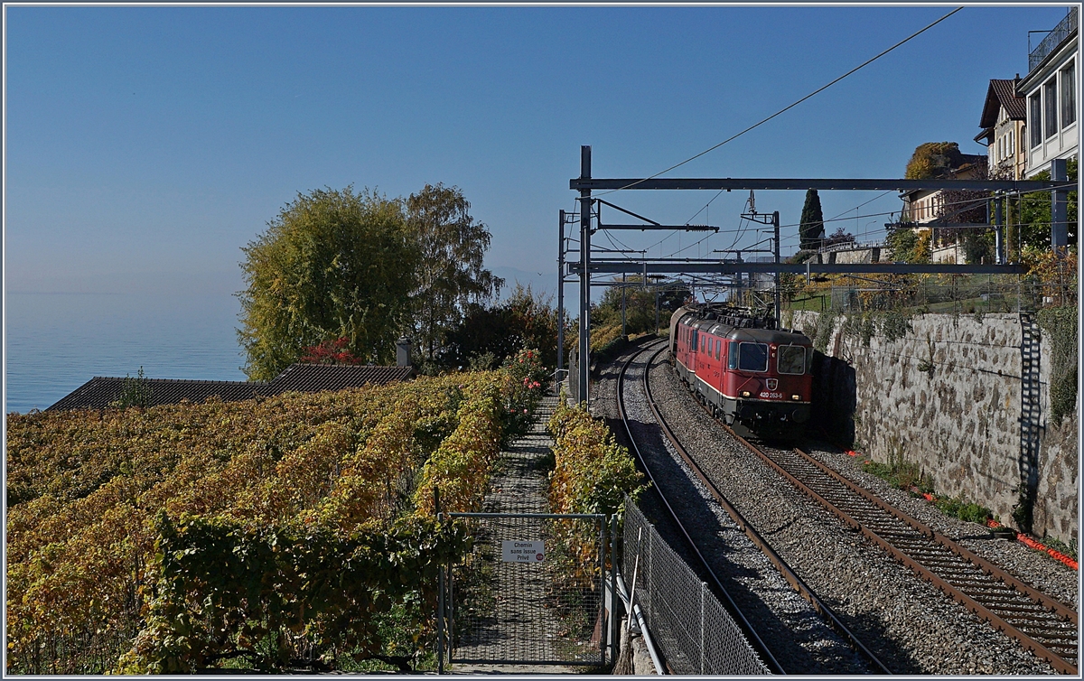 The SBB Re 420 253-6 and an other one with a Cargo Train by Rivaz.
18.10.2017