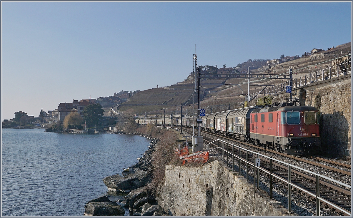 The SBB Re 420 293-3 wiht a Cargo Train between Rivaz and St Saphorin.

25.01.2019