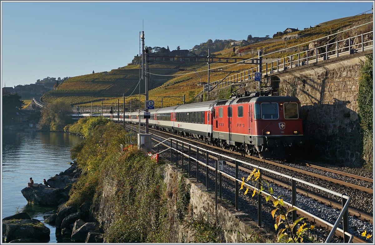 The SBB Re 4/4 II 11194 with an IR to St Maurice between Rivaz and St Saphorion. 

16.10.2017