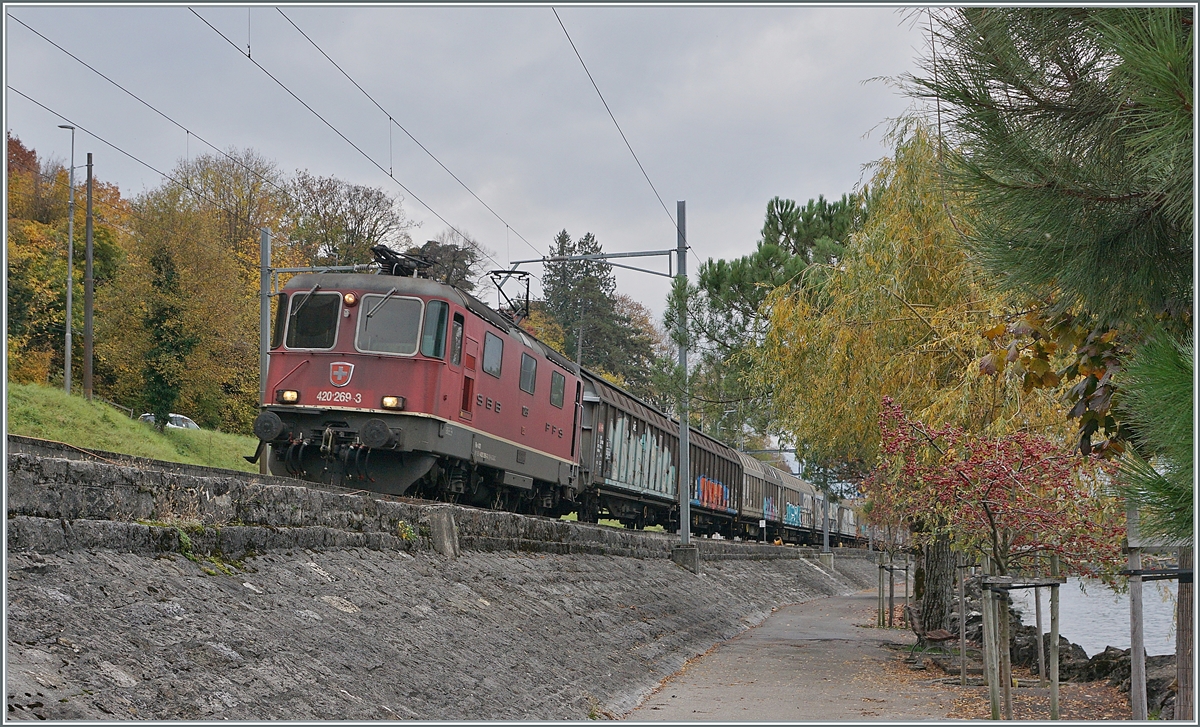 The SBB Re 4/4 II 11269 (Re 420 269-3) with a Cargo train near Villeneue. 

03.11.2020