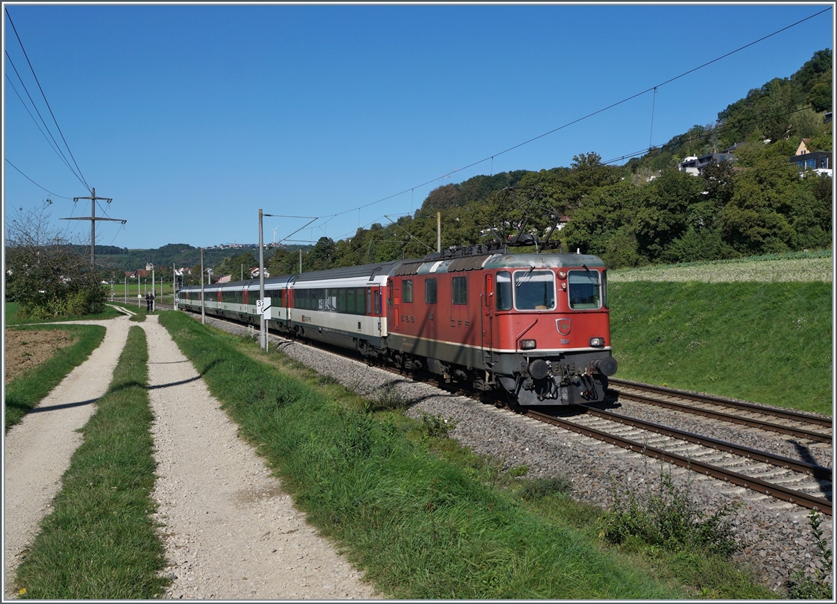 The SBB Re 4/4 II 11130 is shortly before Bietingen with an IC on the way to Singen.

Sept. 19, 2022