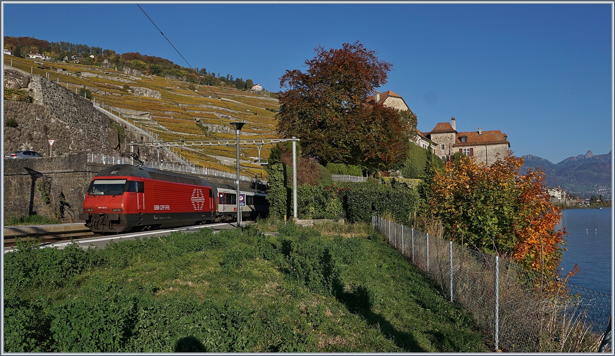 The SBB Re 460 037-5 with an IR to Brig in Rivaz.
16.10.2017