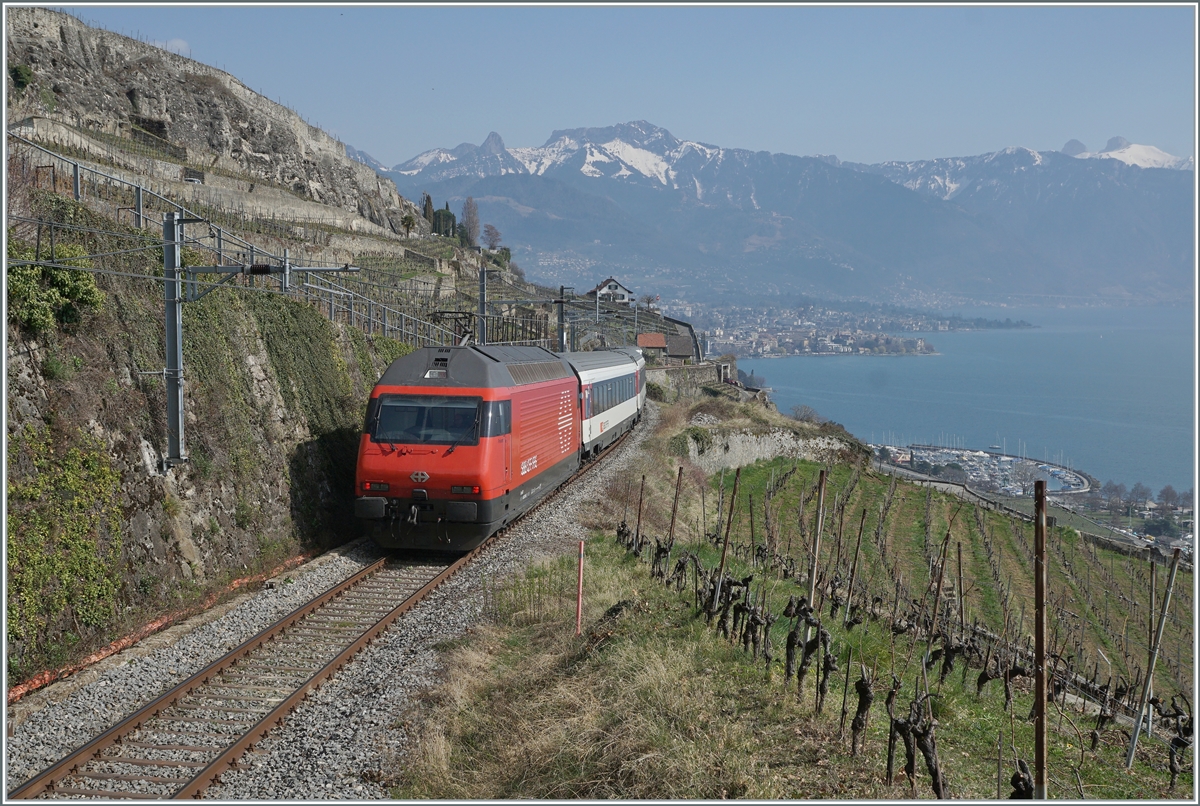 The SBB Re 460 089-6  Freiamt  with his IR 30121 the way from Geneva-Airport to Brig Maurice on the vineyarde line between Chexbres and Vevey (works on the line via Cully). 

20.03.2022