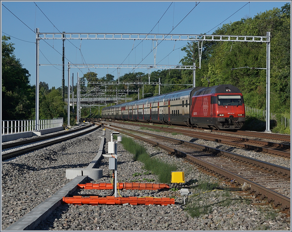 The SBB Re 460 091-2 with an IC to St Gallen by Mies.
19.06.2018