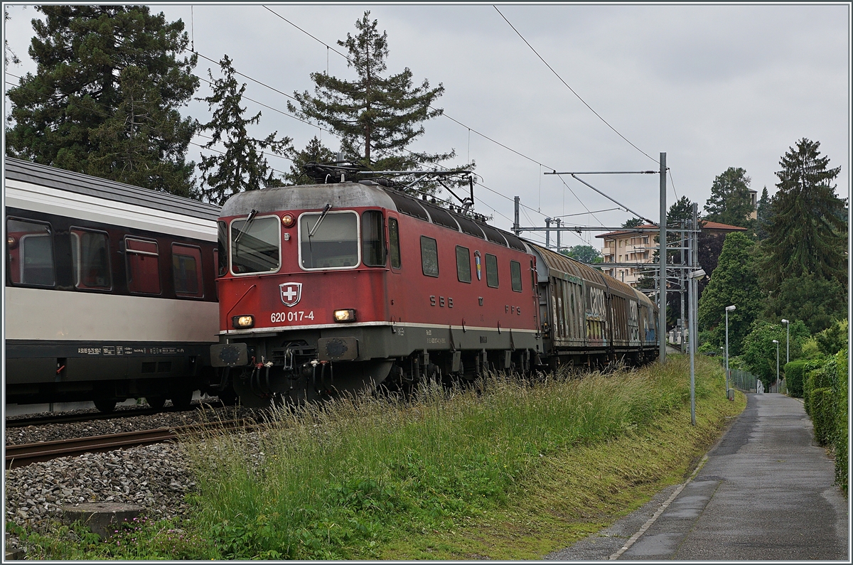 The SBB Re 6/6 11617 (Re 620 017-4)  Heerbrugg  with a Cargo Train between Clarnes and Montreux. 

15.05.2020