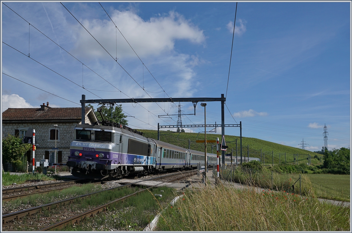 The SNCF  BB 22 316 with an TER from Lyon to Geneva by Russin.
20.06.2016